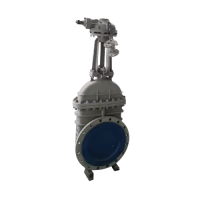 Cast Steel Gate Valve