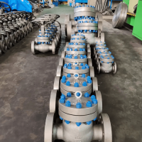 Lift Type Flanged Check Valve