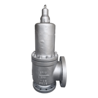Safety Valve