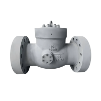 Flanged Check Valve